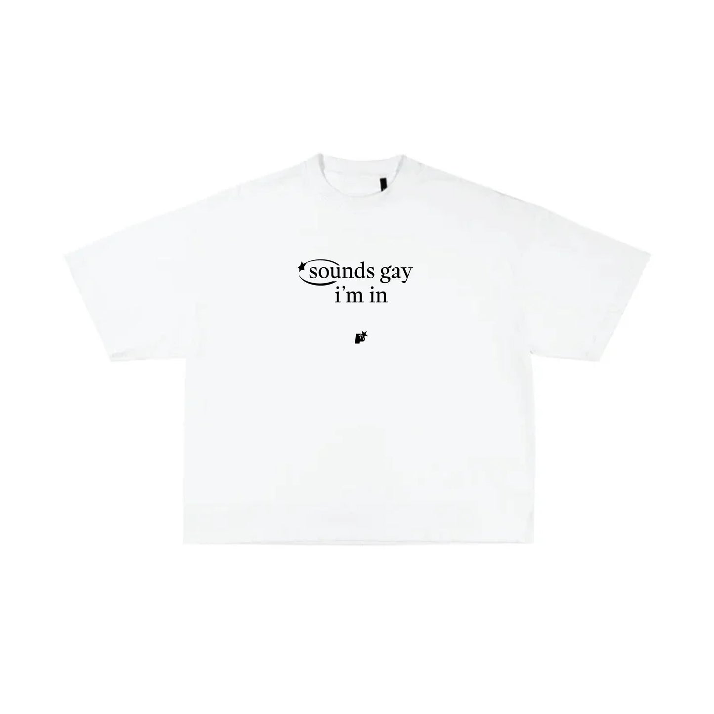 Camiseta Sounds Gay
